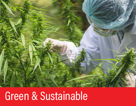 Green & Sustainable Green & Sustainable