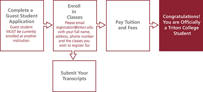 Guest Student chart