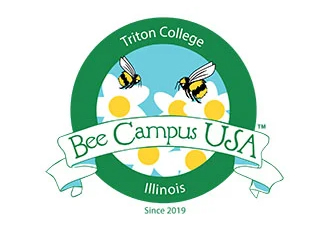 Bee Campus Logo