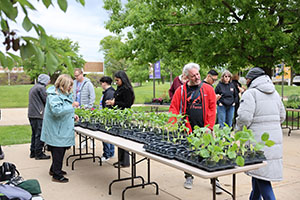 Employee Summer Picnic 2025 - 2 Photo of employees looking at a table with plants